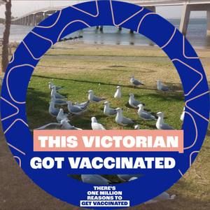 Meet your Posher, Bunna